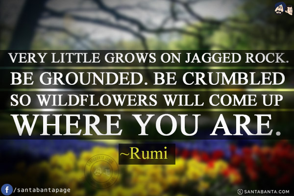 Very little grows on jagged rock. Be grounded. Be crumbled so wildflowers will come up where you are.