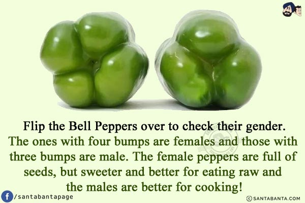 Flip the Bell Peppers over to check their gender.<br/>
The ones with four bumps are females and those with three bumps are male. The female peppers are full of seeds, but sweeter and better for eating raw and the males are better for cooking!
