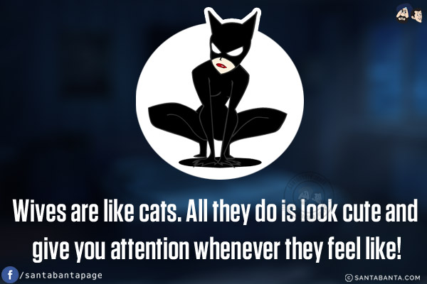 Wives are like cats. All they do is look cute and give you attention whenever they feel like!