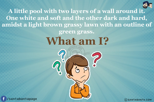 A little pool with two layers of a wall around it. One white and soft and the other dark and hard, amidst a light brown grassy lawn with an outline of green grass. What am I?