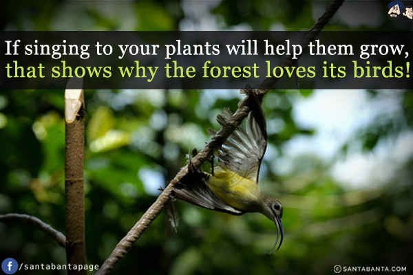 If singing to your plants will help them grow, that shows why the forest loves its birds!