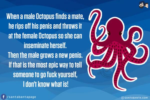 When a male Octopus finds a mate, he rips off his penis and throws it at the female Octopus so she can inseminate herself. Then the male grows a new penis. If that is the most epic way to tell someone to go fuck yourself, I don't know what is!