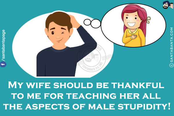 My wife should be thankful to me for teaching her all the aspects of male stupidity!