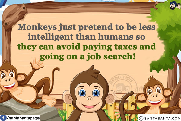 Monkeys just pretend to be less intelligent than humans so they can avoid paying taxes and going on a job search!