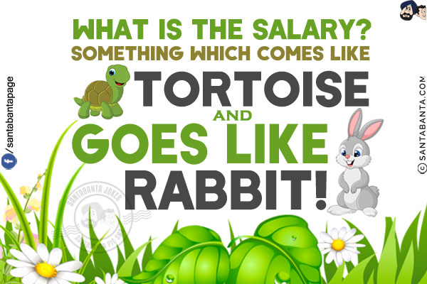 What is the salary?<br/>
Something which comes like Tortoise and goes like Rabbit!