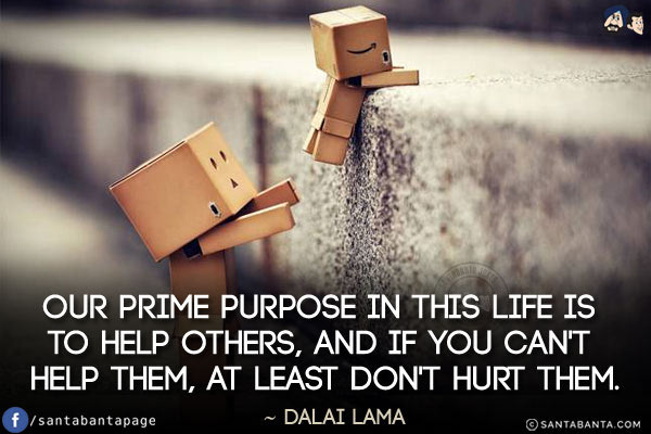 Our prime purpose in this life is to help others, and if you can't help them, at least don't hurt them.