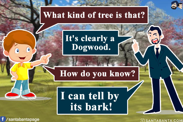 Son: What kind of tree is that?<br/>
Father: It's clearly a Dogwood.<br/>
Son: How do you know?<br/>
Father: I can tell by its bark!