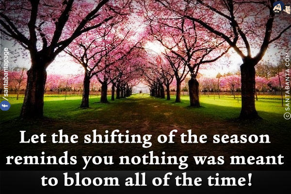 Let the shifting of the season reminds you nothing was meant to bloom all of the time!