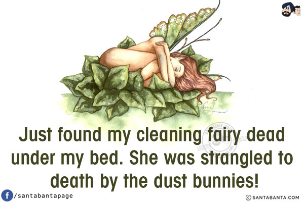 Just found my cleaning fairy dead under my bed. She was strangled to death by the dust bunnies!