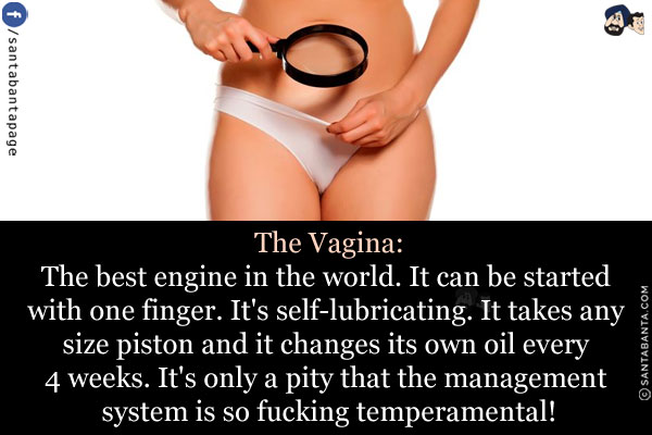 The Vagina:<br/>
The best engine in the world. It can be started with one finger. It's self-lubricating. It takes any size piston and it changes its own oil every 4 weeks. It's only a pity that the management system is so fucking temperamental!