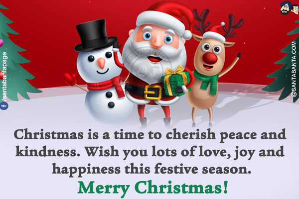 Christmas is a time to cherish peace and kindness. Wish you lots of love, joy and happiness this festive season.<br/>
Merry Christmas!