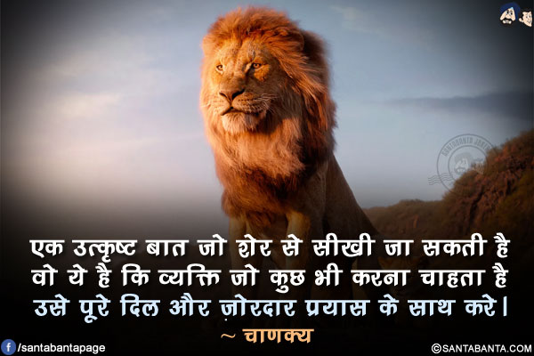 एक उत्कृष्ट बात जो शेर से सीखी जा सकती है वो ये है कि व्यक्ति जो कुछ भी करना चाहता है उसे पूरे दिल और ज़ोरदार प्रयास के साथ करे।