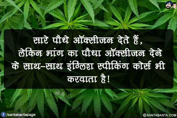 सारे पौधे ऑक्सीजन देते हैं, लेकिन भांग का पौधा ऑक्सीजन देने के साथ-साथ इंग्लिश स्पीकिंग कोर्स भी करवाता है!
