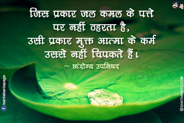 जिस प्रकार जल कमल के पत्ते पर नहीं ठहरता है, उसी प्रकार मुक्त आत्मा के कर्म उससे नहीं चिपकते हैं।