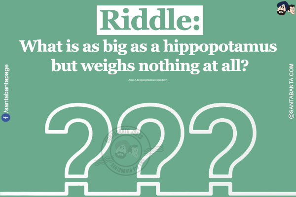 What is as big as a hippopotamus but weighs nothing at all?