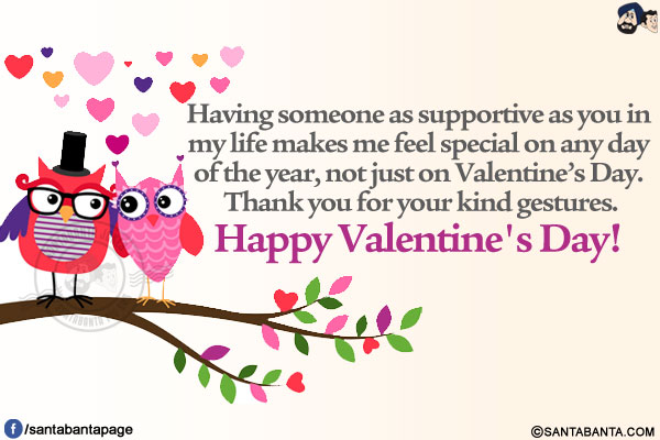 Having someone as supportive as you in my life makes me feel special on any day of the year, not just on Valentine's Day. Thank you for your kind gestures.</br>
Happy Valentine's Day!