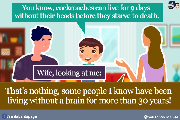 
Son: You know, cockroaches can live for 9 days without their heads before they starve to death.</br>
Wife, looking at me: That's nothing, some people I know have been living without a brain for more than 30 years!