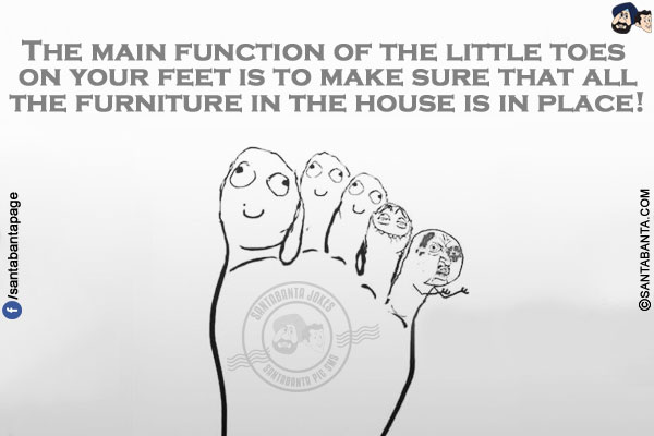 The main function of the little toes on your feet is to make sure that all the furniture in the house is in place!