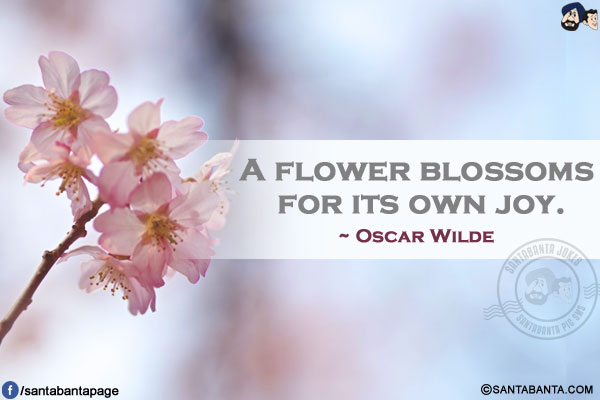 A flower blossoms for its own joy.