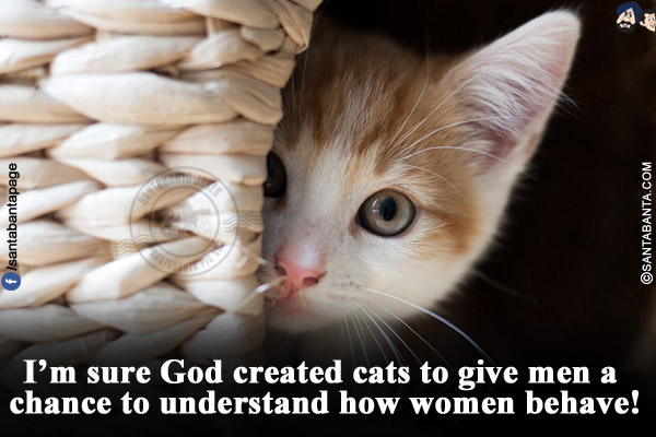 I'm sure God created cats to give men a chance to understand how women behave!