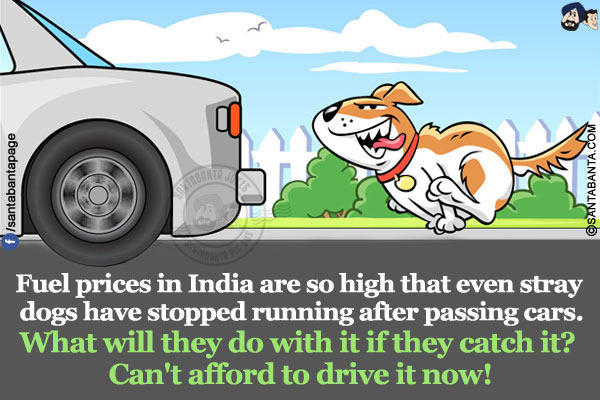 Fuel prices in India are so high that even stray dogs have stopped running after passing cars.</br>
What will they do with it if they catch it? Can't afford to drive it now!