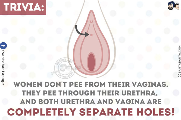 Trivia:<br />
Women don't pee from their vaginas.<br />
They pee through their urethra, and both urethra and vagina are completely separate holes!