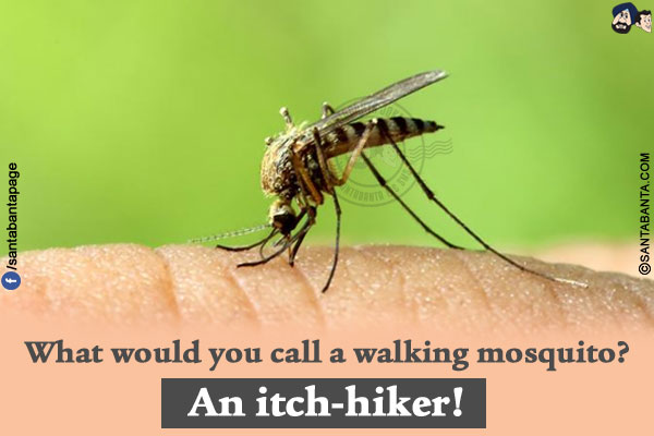 What would you call a walking mosquito?<br/>
An itch-hiker!