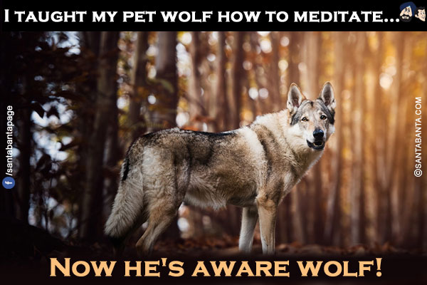 I taught my pet wolf how to meditate...</br>
Now he's aware wolf!