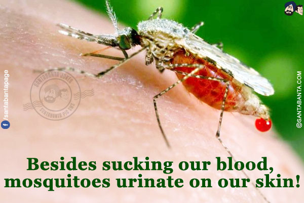 Besides sucking our blood, mosquitoes urinate on our skin!