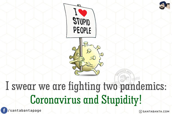 I swear we are fighting two pandemics:<br />
Coronavirus and Stupidity!
