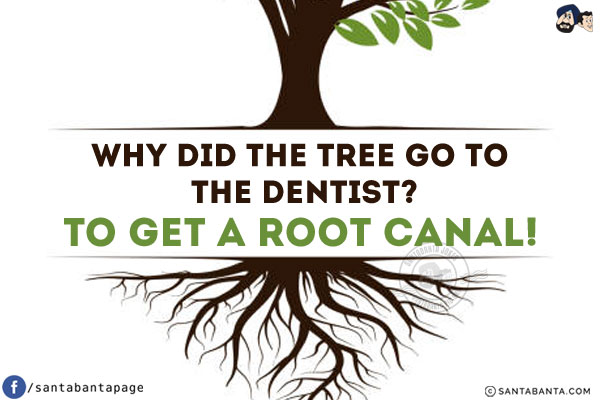 Why did the tree go to the dentist?<br/>
To get a root canal!