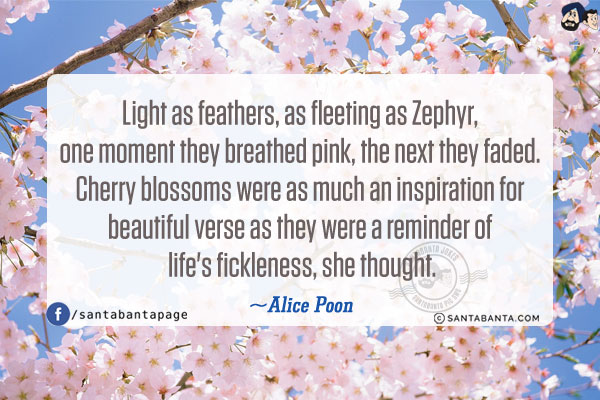 Light as feathers, as fleeting as Zephyr, one moment they breathed pink, the next they faded. Cherry blossoms were as much an inspiration for beautiful verse as they were a reminder of life's fickleness, she thought.