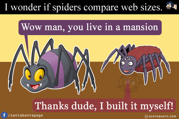 I wonder if spiders compare web sizes. `Wow man, you live in a mansion` Thanks dude, I built it myself!