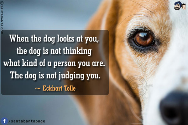 When the dog looks at you, the dog is not thinking what kind of a person you are. The dog is not judging you.