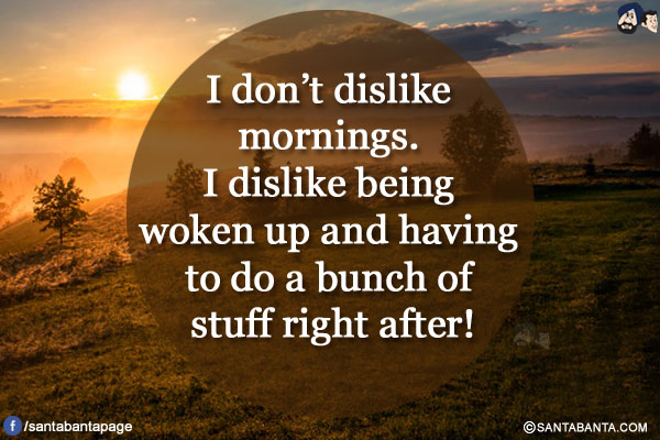 I don't dislike mornings. I dislike being woken up and having to do a bunch of stuff right after!