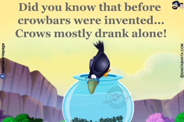 Did you know that before crowbars were invented...</br>
Crows mostly drank alone!