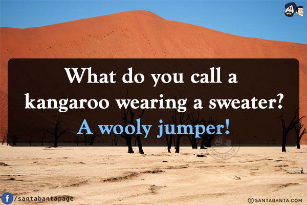 What do you call a kangaroo wearing a sweater?<br/>
A wooly jumper!