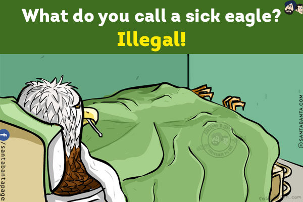 What do you call a sick eagle?<br/>
Illegal!