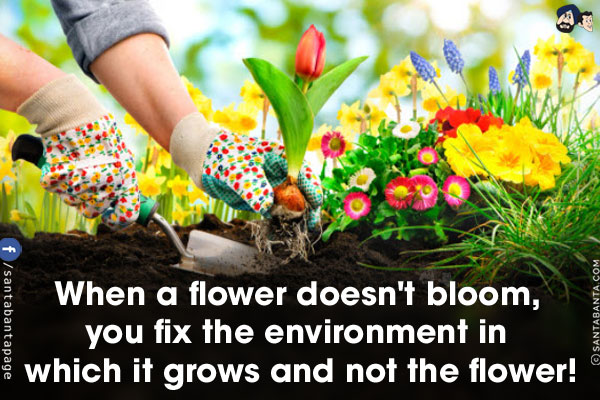 When a flower doesn't bloom, you fix the environment in which it grows and not the flower!