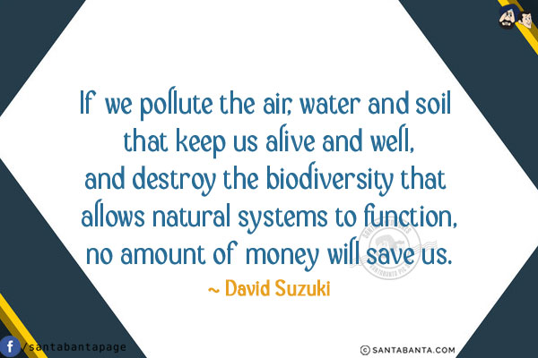 If we pollute the air, water and soil that keep us alive and well,
and destroy the biodiversity that allows natural systems to function,
no amount of money will save us.
