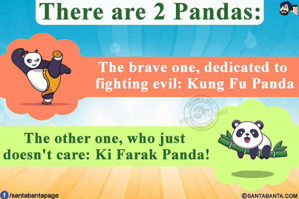 Punjabi Panda:<br/><br/>

There are 2 Pandas:<br/>
The brave one, dedicated to fighting evil: Kung Fu Panda<br/>
The other one, who just doesn't care: Ki Farak Panda!