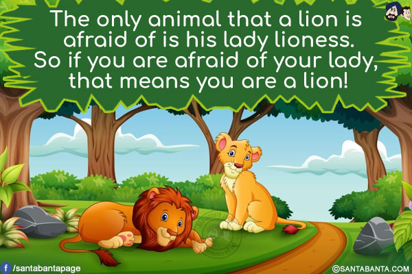 The only animal that a lion is afraid of is his lady lioness. So if you are afraid of your lady, that means you are a lion!