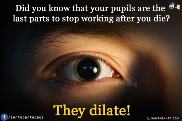 Did you know that your pupils are the last parts to stop working after you die?<br/>
They dilate!