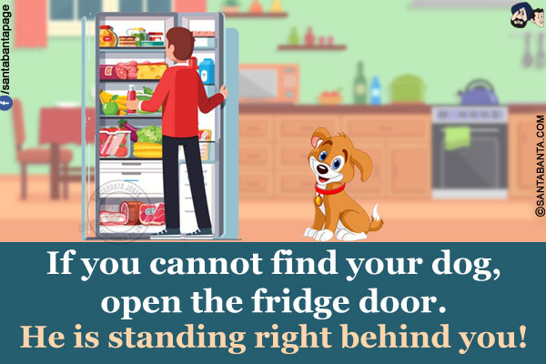 If you cannot find your dog, open the fridge door. He is standing right behind you!