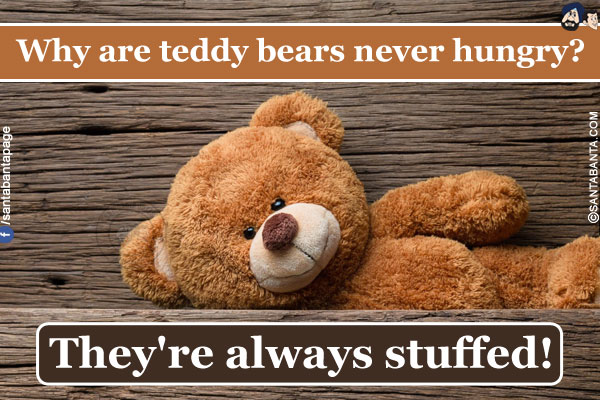 Why are teddy bears never hungry?<br/>
They're always stuffed! 