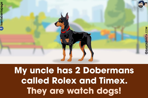 My uncle has 2 Dobermans called Rolex and Timex.<br/>
They are watch dogs!