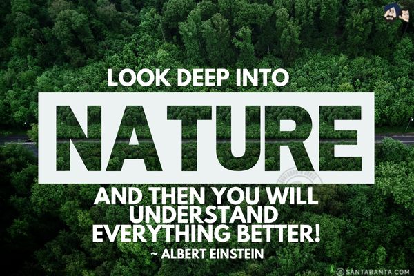 Look deep into nature and then you will understand everything better!