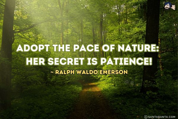 Adopt the pace of nature: Her secret is  patience.