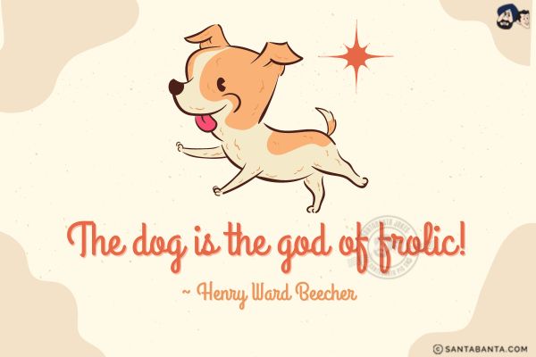 The dog is the god of frolic.