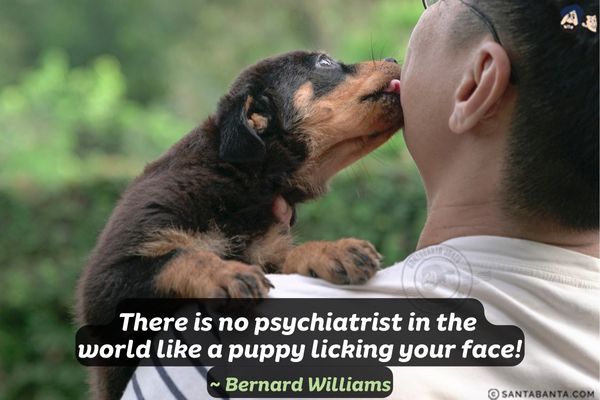 There is no psychiatrist in the world like a puppy licking your face.